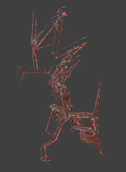 Creature I Modeled For An Active Project